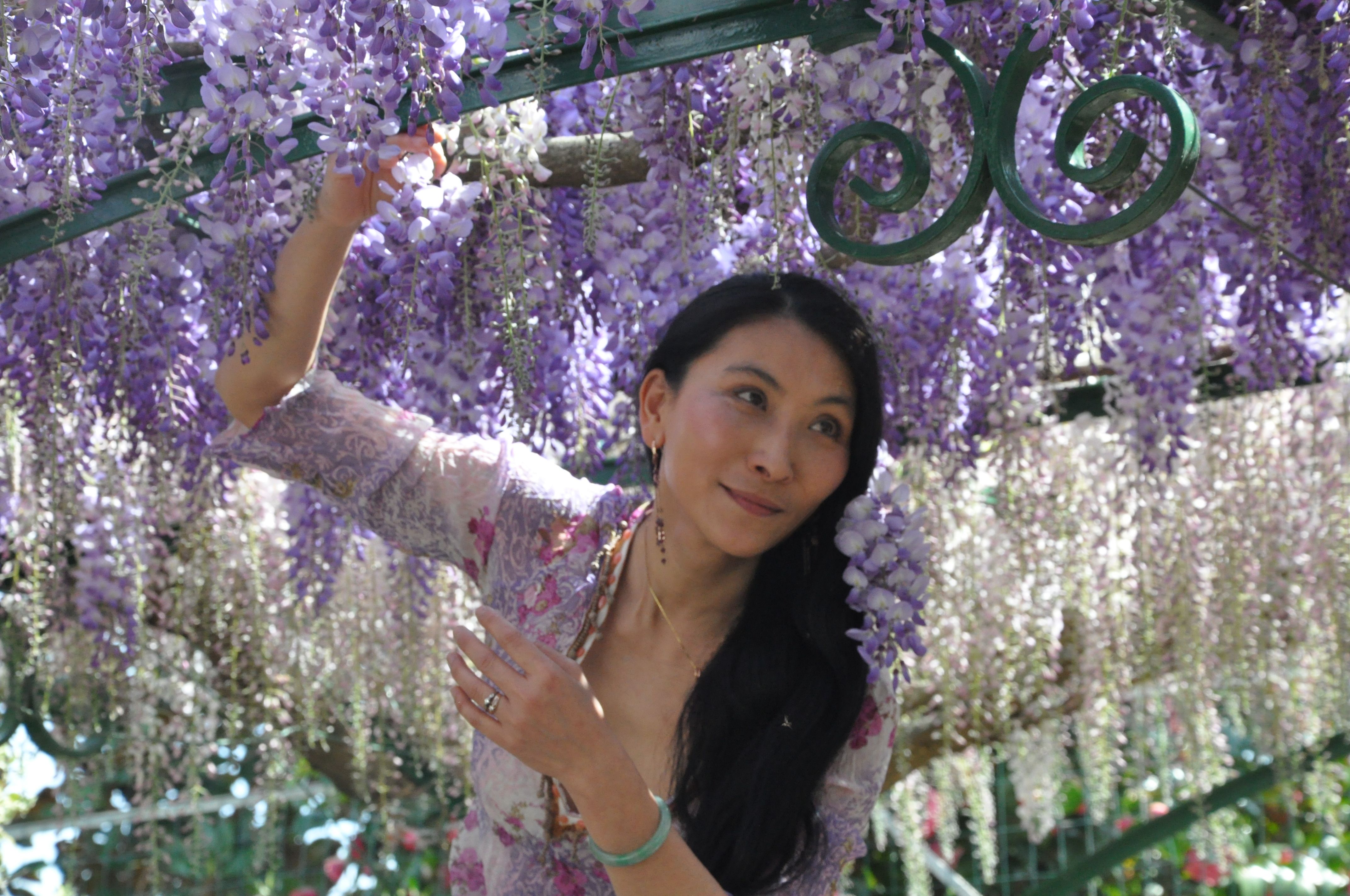 Chao Hsiu Chen  and Wisteria in Appia Antica - Rome 2