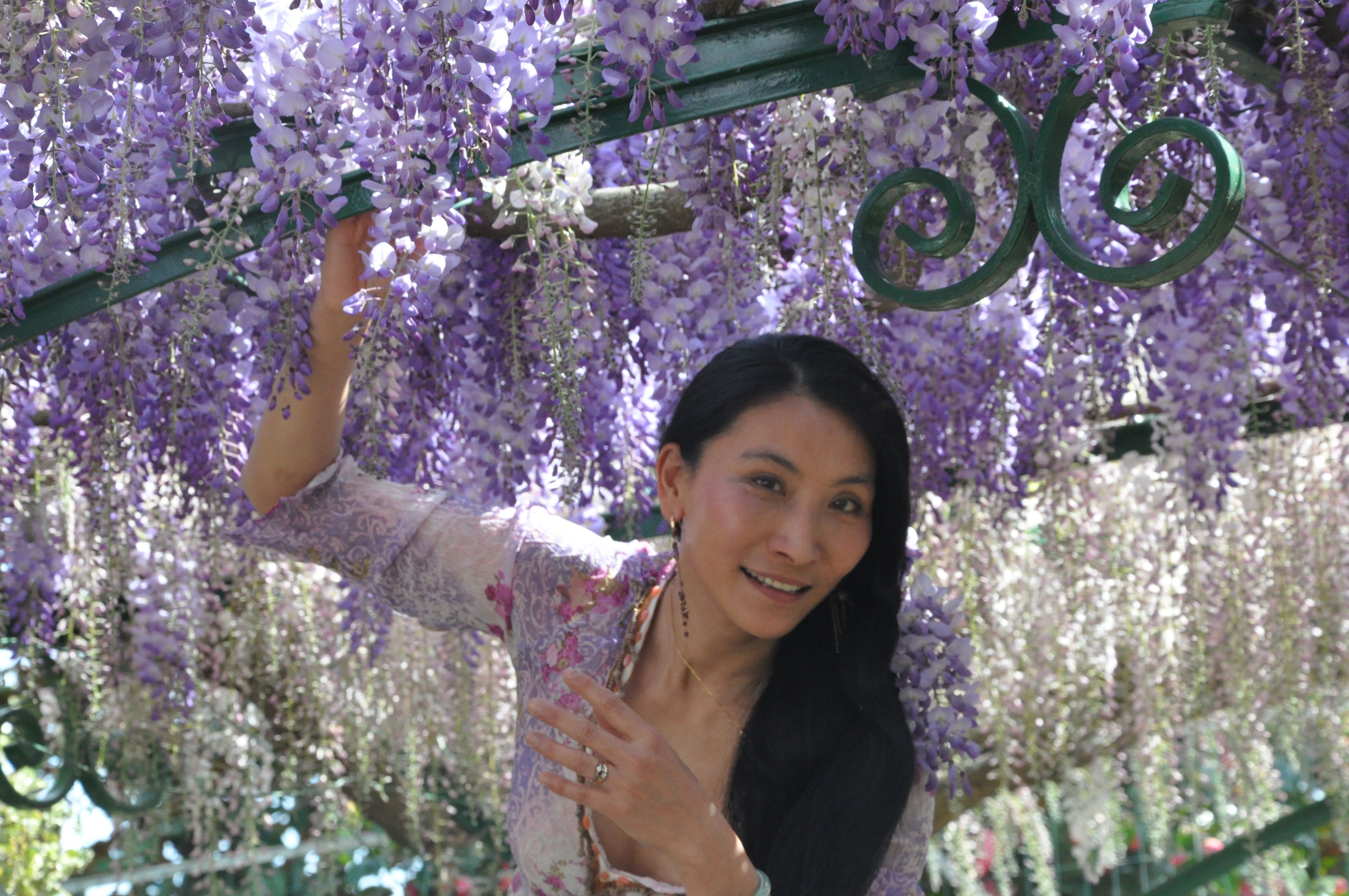 Chao Hsiu Chen and Wisteria in Appia Antica - Rome 2