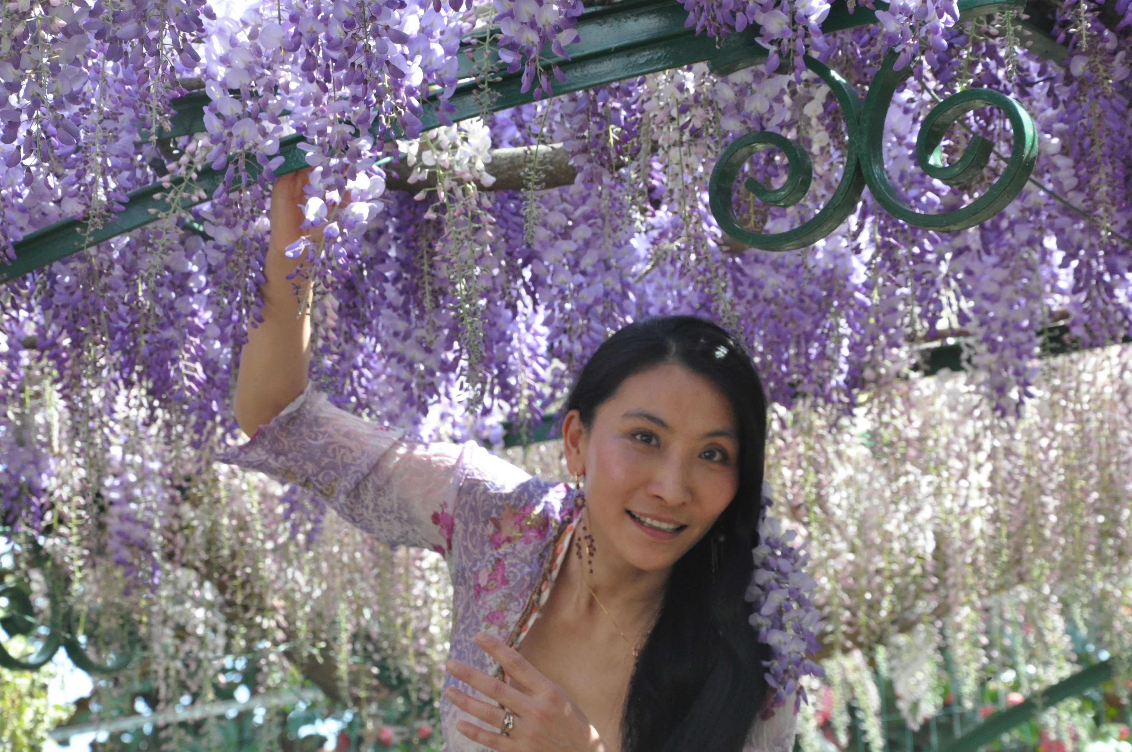 Chao Hsiu Chen and Wisteria in Appia Antica - Rome 2