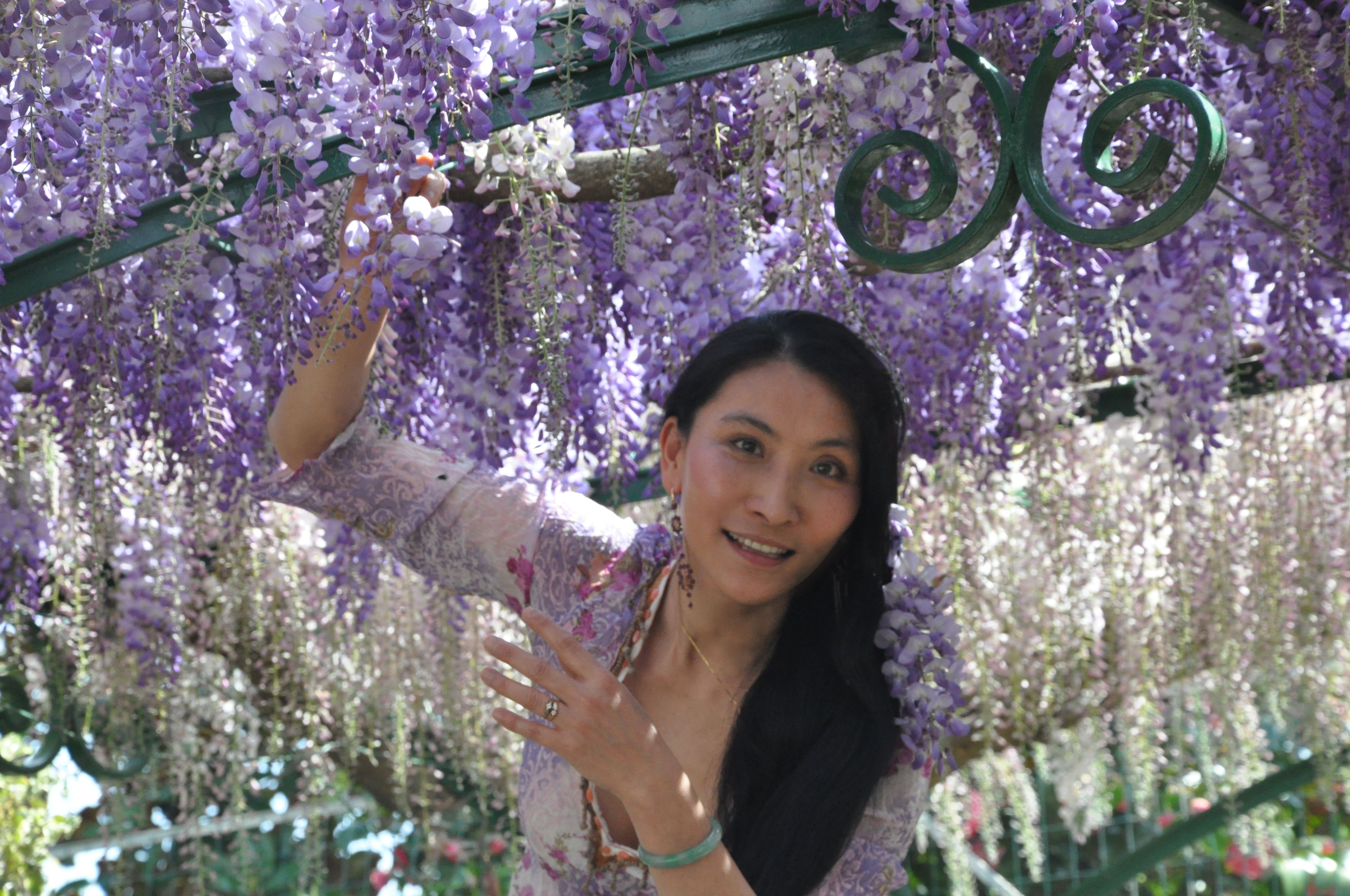 Chao Hsiu Chen and Wisteria in Appia Antica - Rome 2