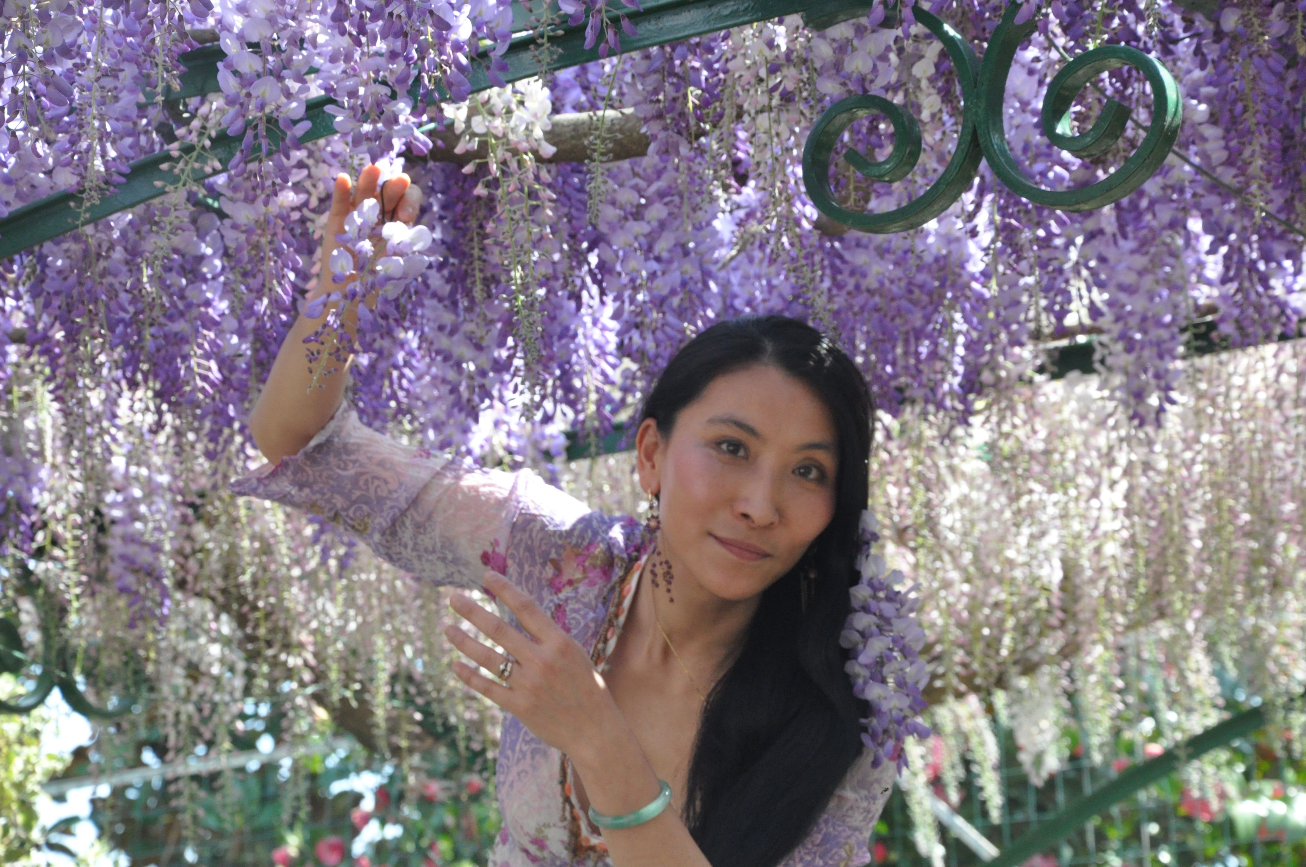 Chao Hsiu Chen and Wisteria in Appia Antica - Rome 2