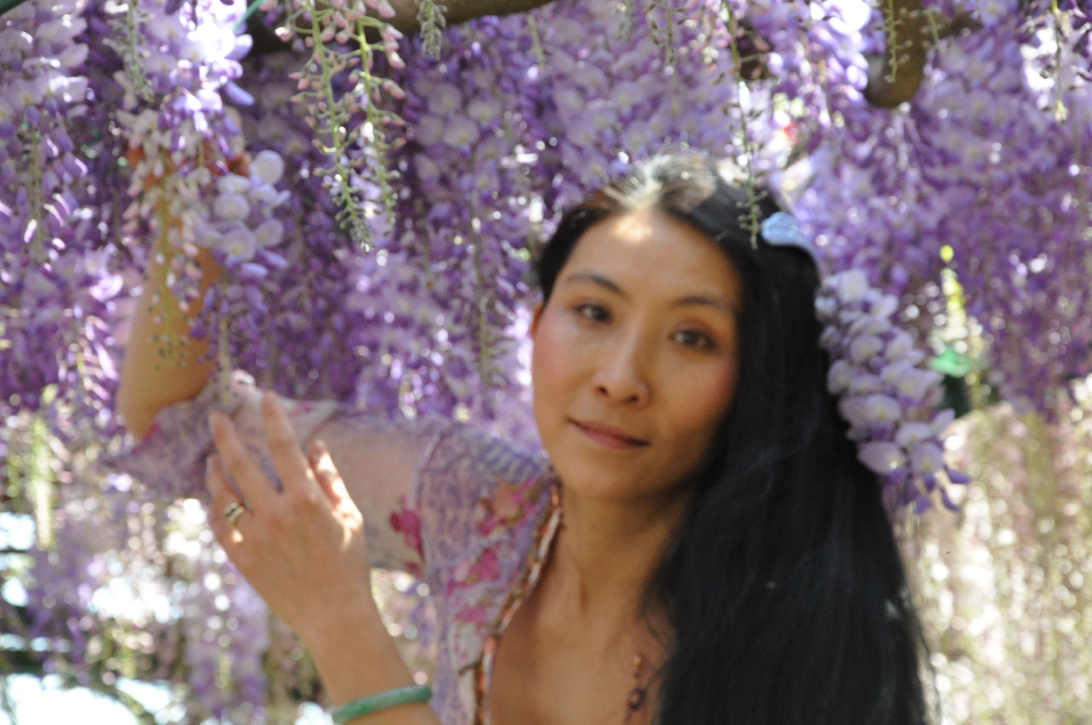 Chao Hsiu Chen and Wisteria in Appia Antica - Rome 2