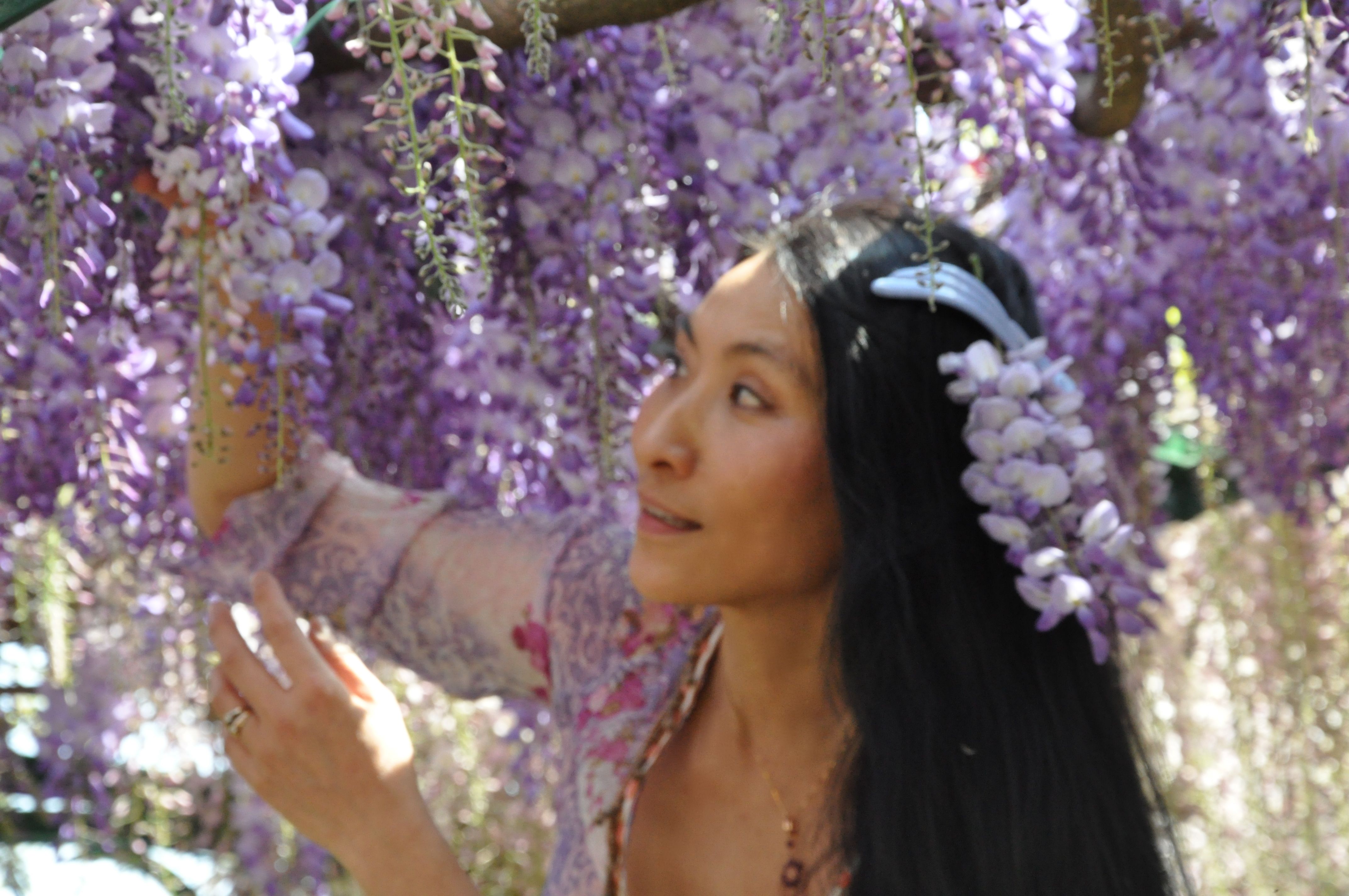 Chao Hsiu Chen and Wisteria in Appia Antica - Rome 2