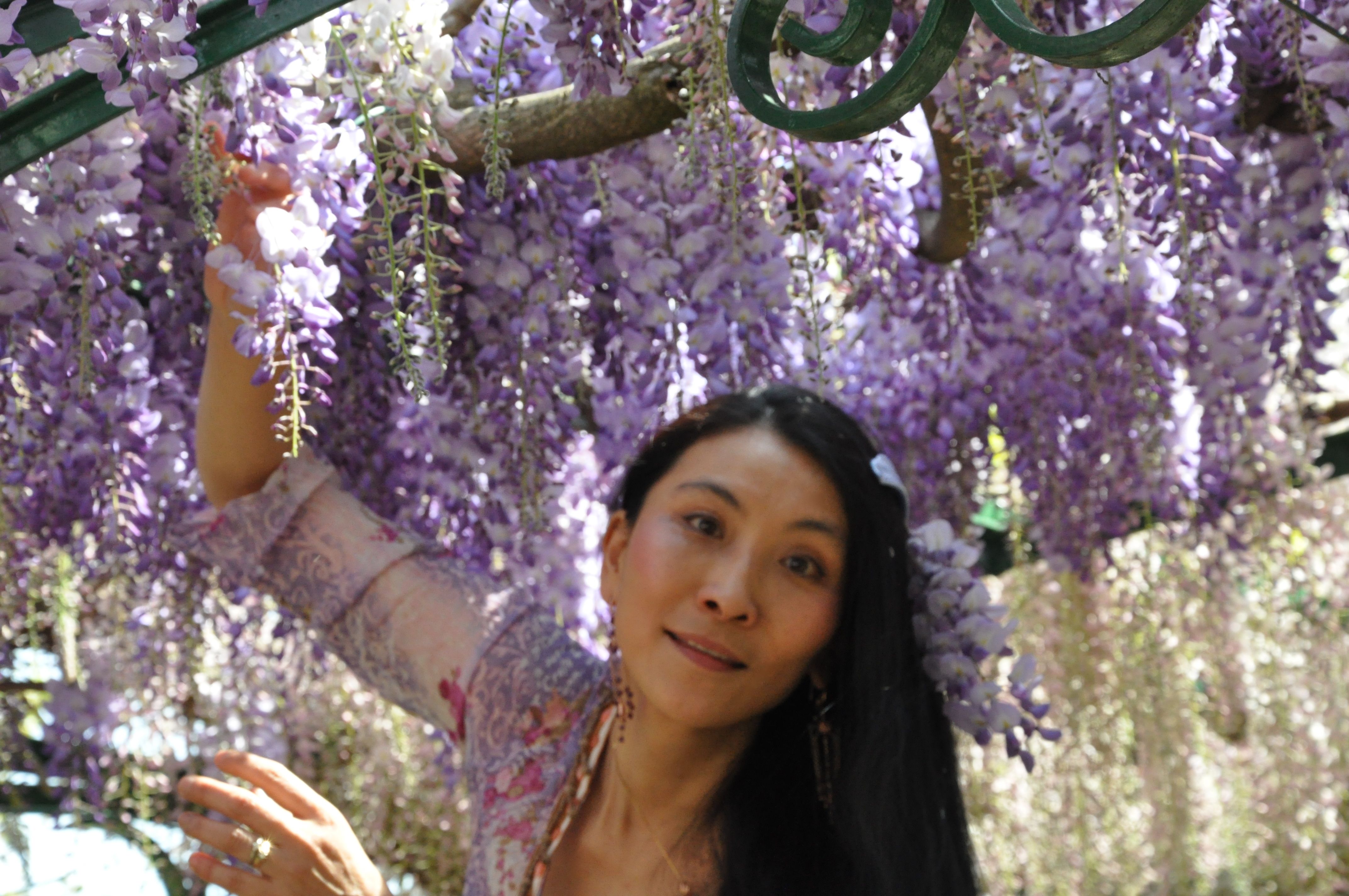 Chao Hsiu Chen and Wisteria in Appia Antica - Rome 2