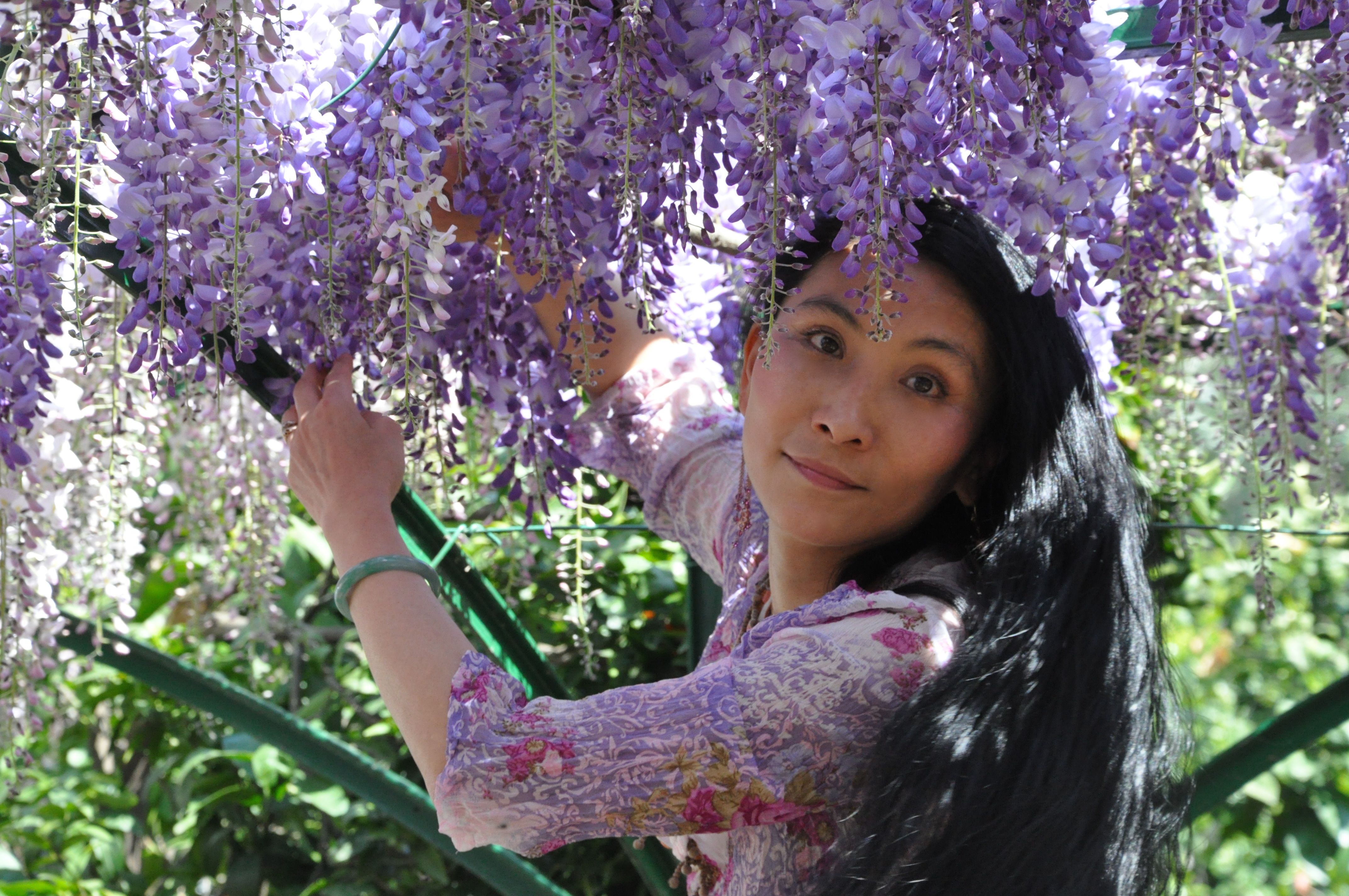 Chao Hsiu Chen and Wisteria in Appia Antica - Rome 2